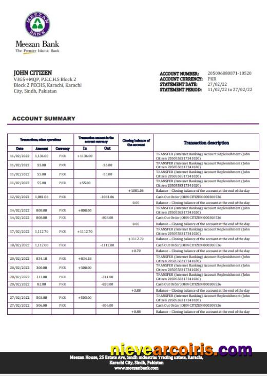 Pakistan Meezan bank statement in Word and PDF format